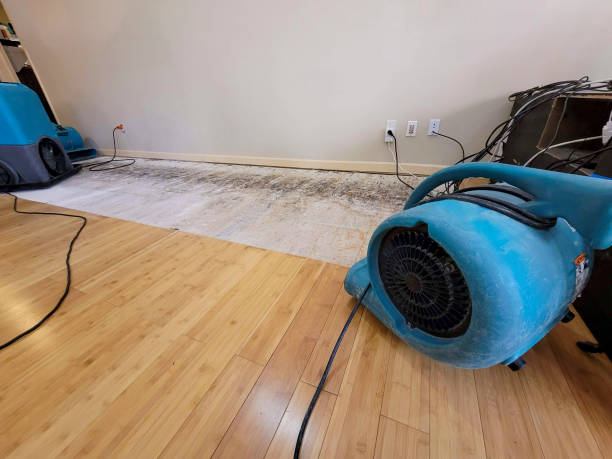 Professional Flood Damage Cleanup technician working in Tyndall, SD